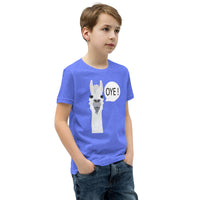 Alpaca Oye Youth Tshirt