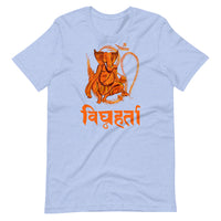 GANESH VIGHNAHARTA unisex tshirt