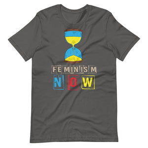 FEMINISM NOW Unisex tshirt