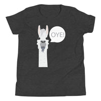 ALPACA OYE youth tshirt
