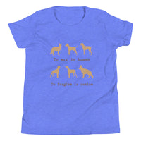 TO ERR IS HUMAN youth tshirt